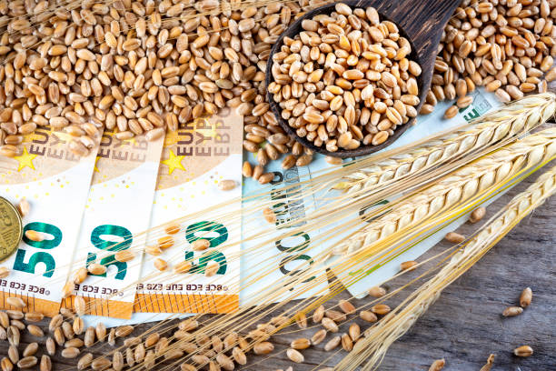 istock Concept of rising costs for wheat 1421339397