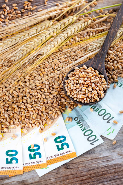 istock Concept of rising costs for wheat 1421340449