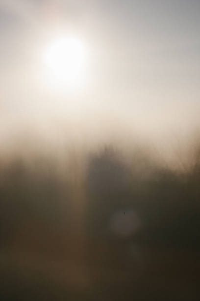 istock Abstract landscape background with a sunflare 1421340804
