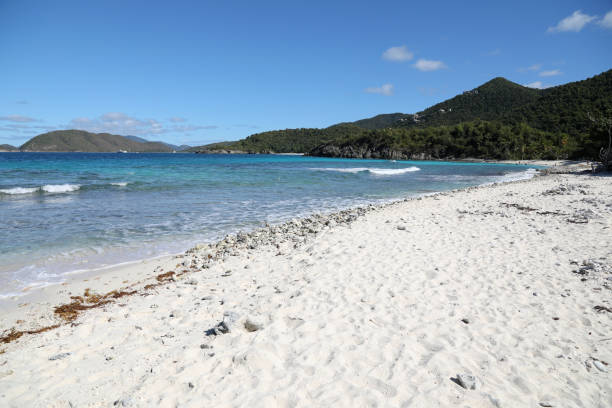 istock Beach in Denis Bay in St. John Virgin Islands 1421342665