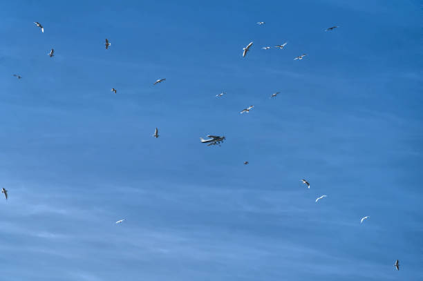 Traffic in the air