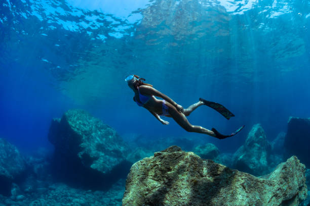 una niña se sumerge en apnea - aleta equipo de buceo fotografías e imágenes de stock