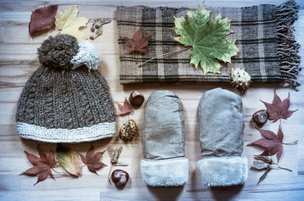 istock Clothes for the cold season 1421349355