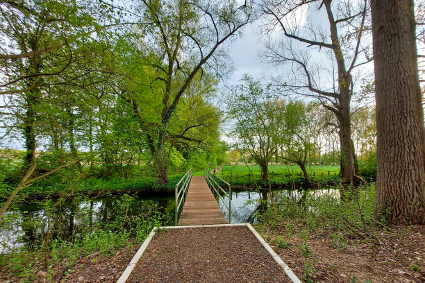istock path in the park. Bridge in forest. Outdoor park landscape 1421354362