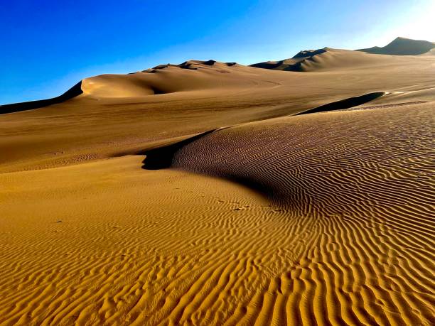 istock Sand dunes of Huacachina, Peru 1421363801