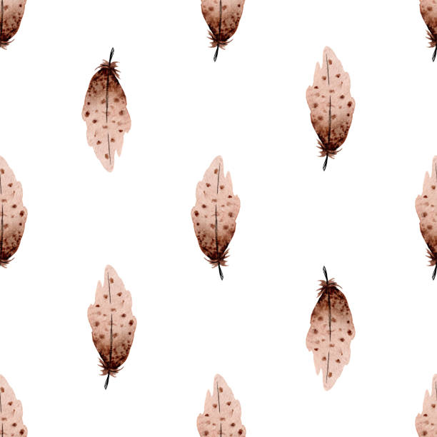 ilustrações de stock, clip art, desenhos animados e ícones de watercolor brown feathers seamless pattern on white - packing duck