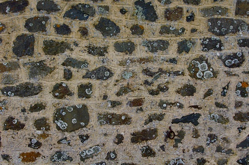 Antiguo Muro de Piedra en Normandía, Francia photo