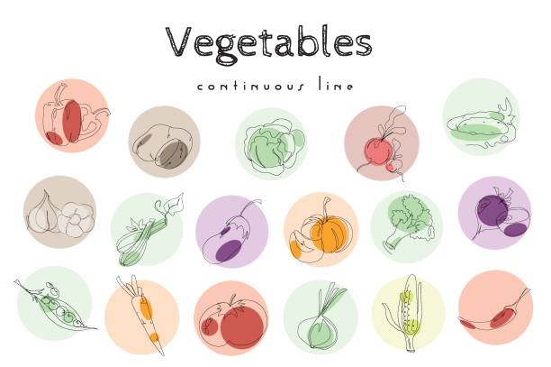 Set  of hand drawn vegetables in continuous line style. Potatoes, zucchini, carrots and many other vegetables set. Vegetables minimalist black linear sketch isolated on white background. vector art illustration