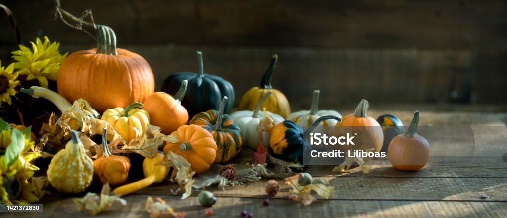 Autumn Pumpkins Still Life Autumn pumpkins, gourds and holiday decor arranged against an old wood background Pumpkin Stock Photo