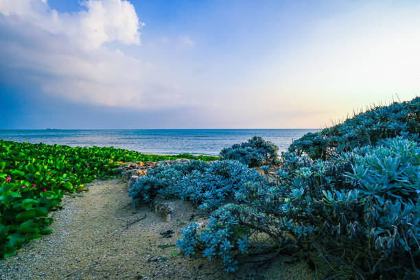 沖縄県瀬永島の自然風景