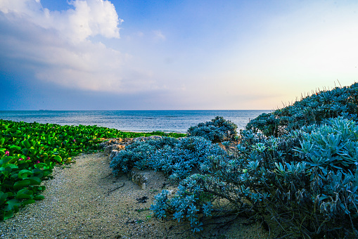 Natural scenery photo from Senaga Island, Naha City, Okinawa, Japan.