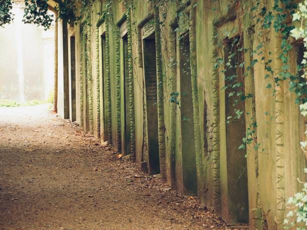 istock Tomb doorways 1421375412
