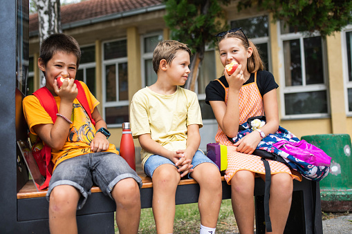 Tweenagers are hanging out and having lunch in the schoolyard