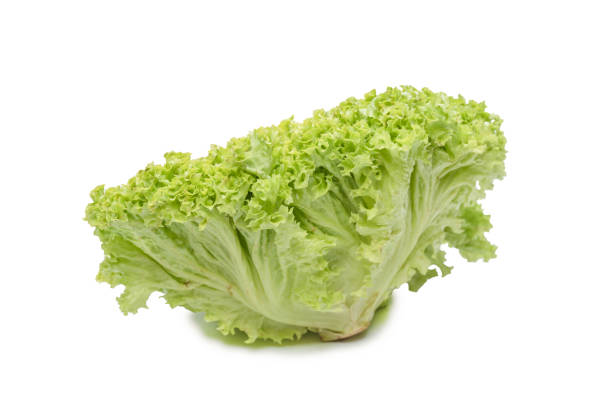 istock Iceberg lettuce isolated on white background. 1421378985