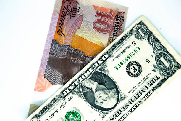 istock Egyptian money exchange with US dollars 1421382333