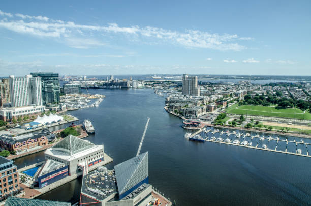 Port of Baltimore from high angle view during summer day