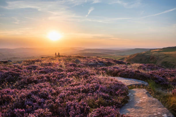 istock Absolutely beautiful sunset landscape image unidentified young couple looking from Higger Tor in Peak District across to Hope Vally in late Summer with heather in full purple bloom 1421384916