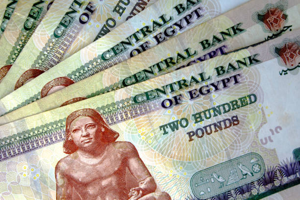 istock Egyptian pounds banknote 1421386807