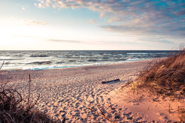 istock Sea beach scenery with sand dunes and thickets during sunset with dramatic sunset sky in vintage style beige colours 1421391263