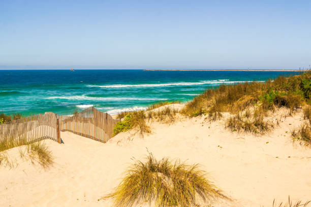 istock Dunes on the coast of the Atlantic Ocean 1421393462
