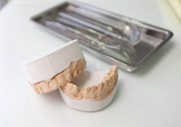 istock Human jaw model with dental instrument on white backgroung 1421396775