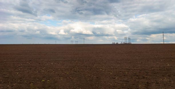 istock Ukrainian field landscape before sowing season in early spring 1421397113
