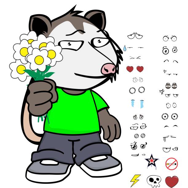 opossum character cartoon kawaii expressions set opossum character cartoon kawaii expressions set pack in vector format angry opossum stock illustrations