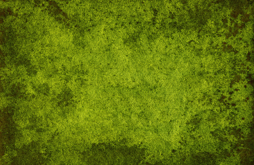 Dark green paper fabric closeup - High resolution