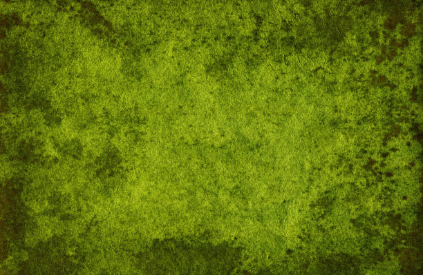 Green Felt Fabric For Background High Quality Texture In Extremely High  Resolution Stock Photo - Download Image Now - iStock