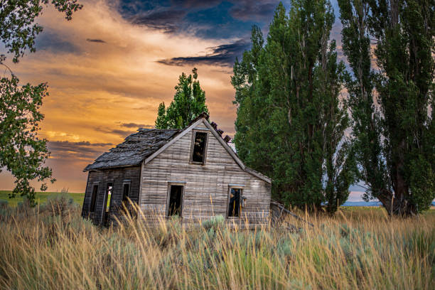 istock Weather worn homestead at sunset 1421403341
