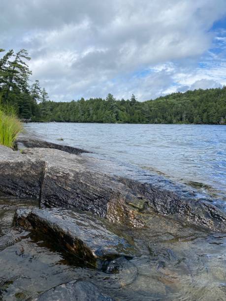 istock Landscape image of Algonquin park 1421406150