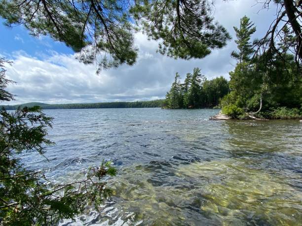 istock Landscape image of Algonquin park 1421406172
