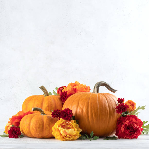 Pumpkin flower pot stuffed with orange roses and red leaves on garten table. Selective focus.
