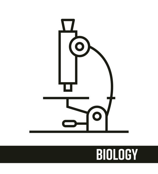 edukacja ( biologia ) koncepcja projektu graficznego. - computer learning brain illustration and painting stock illustrations