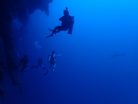 Divers with shark and stalactites