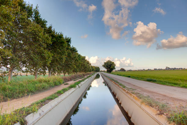 Canal de riego Irrigation canal next to the grove and the rice field, in the Ebro Delta. country road sky field cloudscape stock pictures, royalty-free photos & images