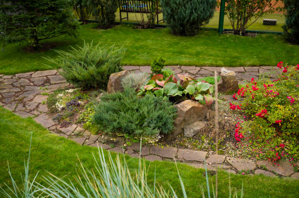 istock juniper stones path flowerbed landscaping 1421418850
