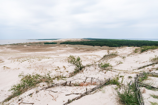 Curonian Spit in Nida, Lithuania. Landscape of beautiful nature in Europe. Traveling photography, tourism concept picture. Baltic Sea and sand dunes.