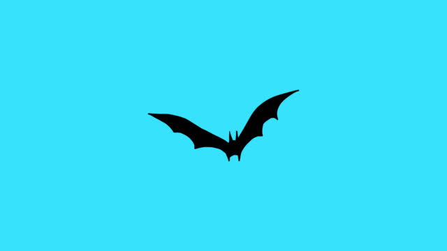A cartoon bat flies into the frame on a blue screen.