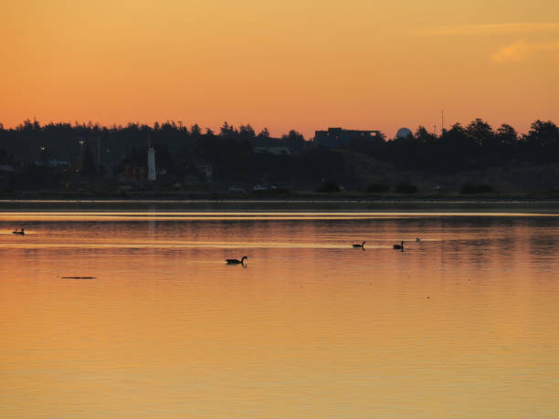 istock Majestic Lagoon at Sunrise 1421434373