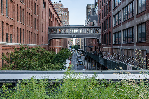 View of New York street from High Line Park during summer day.
There is a pedestrian bridge linking two buildings