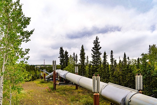 Close-up of the Trans-Alaska Pipeline above the Yukon River, USA