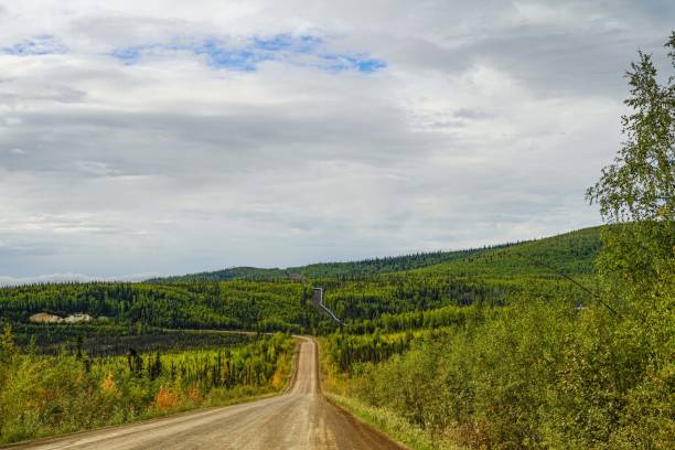 istock Trans-Alaska Pipeline and Dalton Highway, USA 1421436083