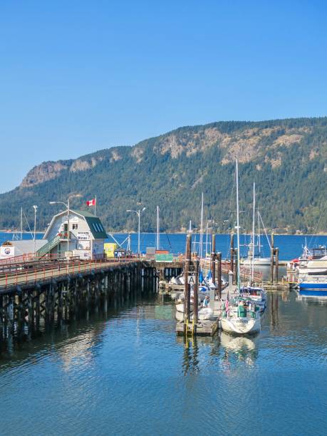 istock Cowichan Bay in Vancouver Island 1421437458