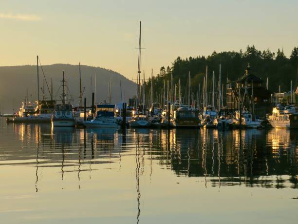 istock Marina at Sunrise 1421437484