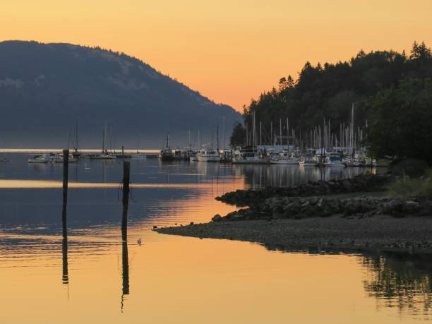 istock Sunrise in Cowichan Bay 1421437675