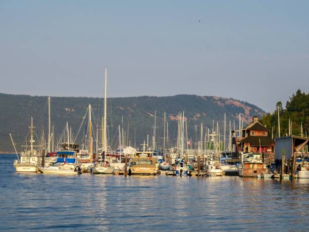 istock Harbor at Golden Hour 1421437771