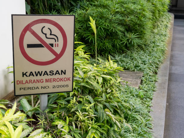 istock Non-Smoking Signage in a Park 1421446211
