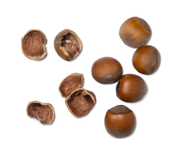istock Whole hazelnut. Chopped hazelnuts on a white background. Nuts in a shell. Ingredient for vegan food. 1421448006