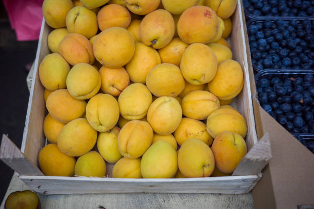 istock Fresh apricots in boxes on the market 1421448405